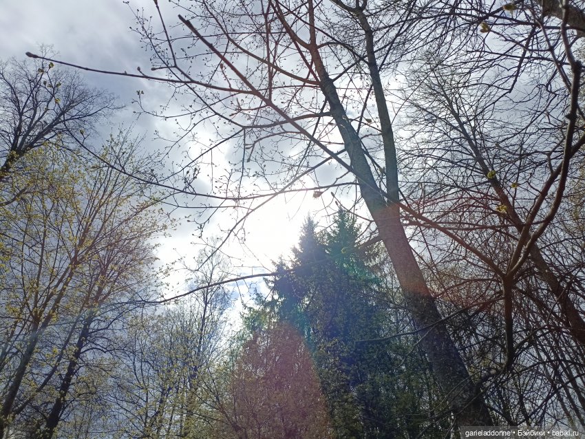 Форпост 2 Отблески Пангеи. Часть 6 Неволя