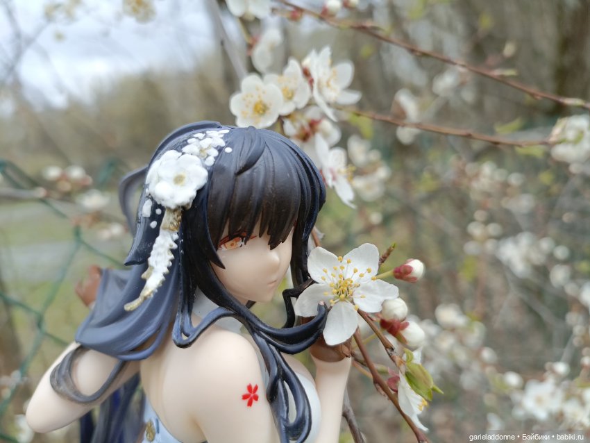 Сад часть 2 — Туризм и путешествия: фотоотчеты из поездок