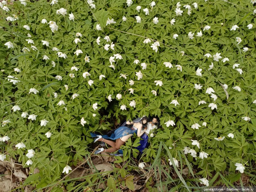 Сад часть 2 — Туризм и путешествия: фотоотчеты из поездок