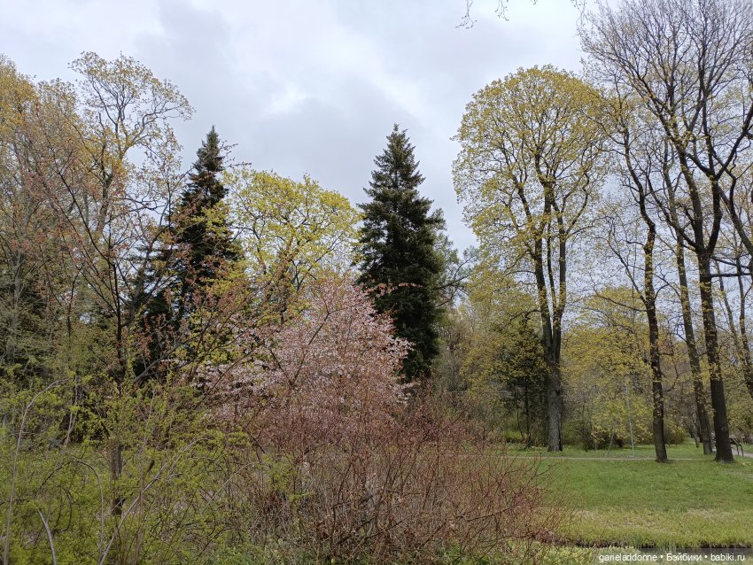 Сад часть 1 — Туризм и путешествия: фотоотчеты из поездок