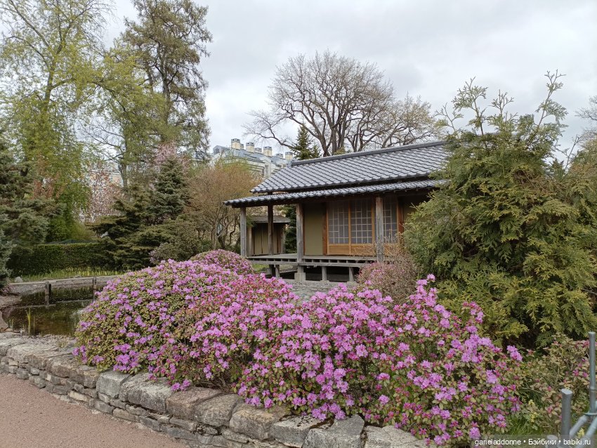 Сад часть 2 — Туризм и путешествия: фотоотчеты из поездок (фото 6)