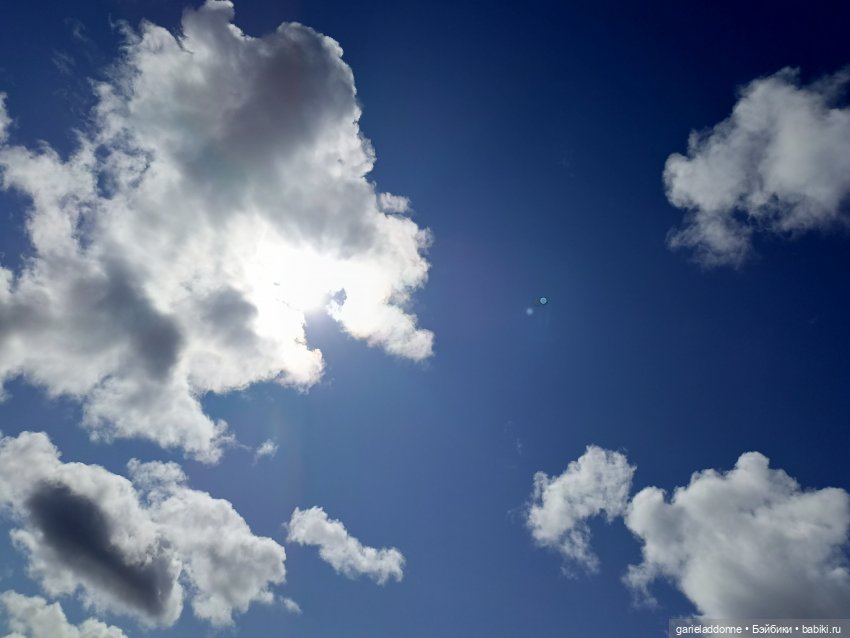 Сад часть 1 — Туризм и путешествия: фотоотчеты из поездок (фото 3)