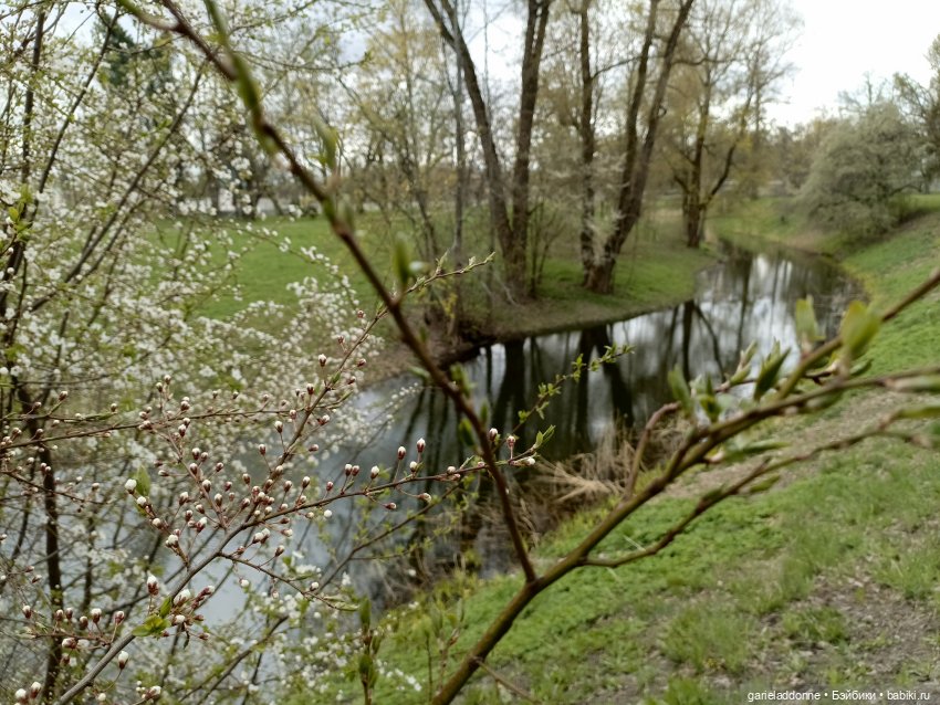 Сад часть 2 — Туризм и путешествия: фотоотчеты из поездок