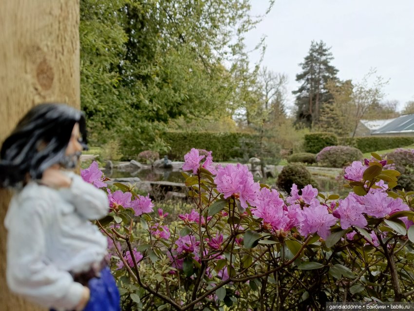 Сад часть 2 — Туризм и путешествия: фотоотчеты из поездок (фото 9)