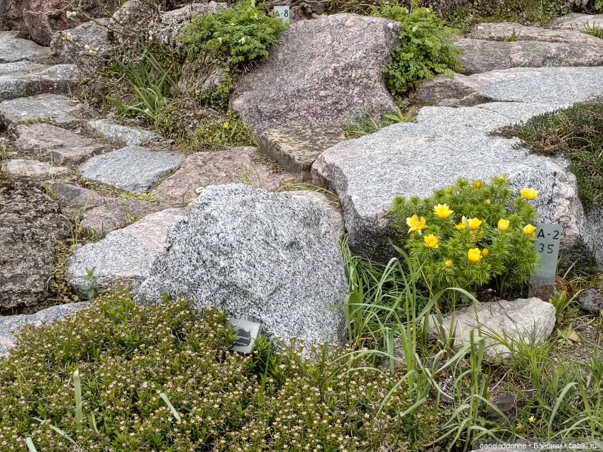 Сад часть 1 — Туризм и путешествия: фотоотчеты из поездок