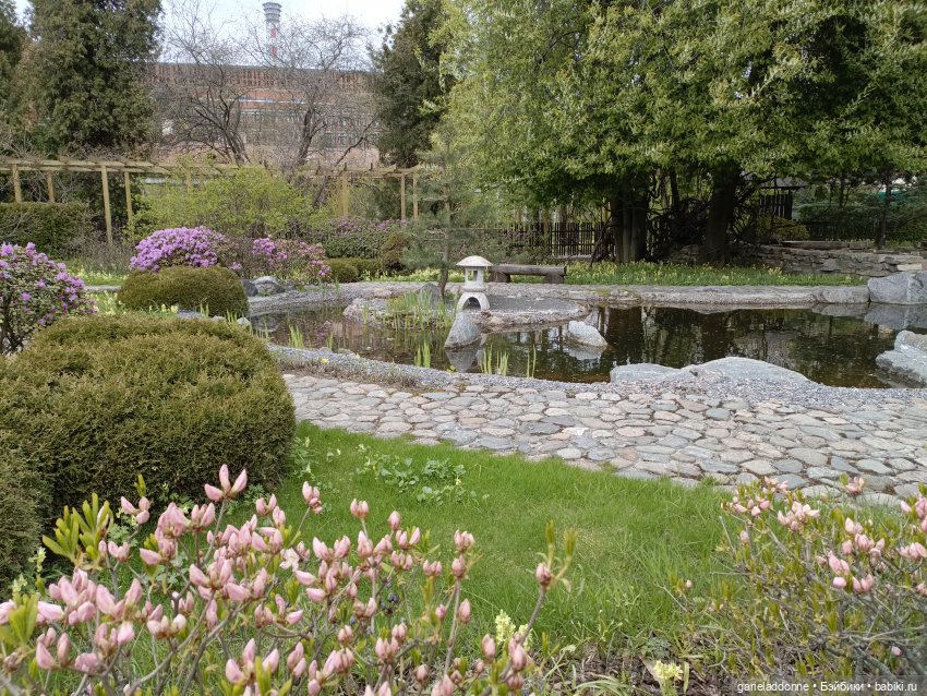 Сад часть 2 — Туризм и путешествия: фотоотчеты из поездок