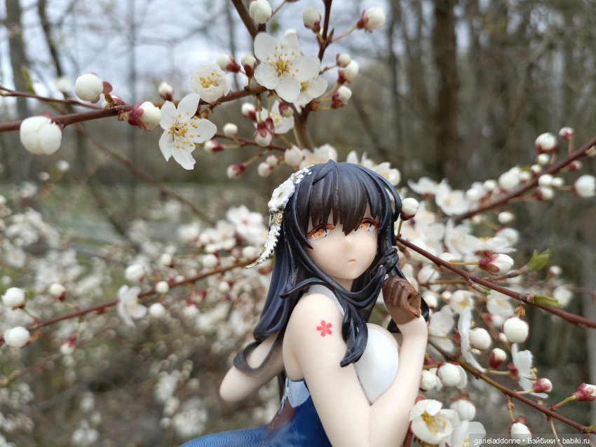 Сад часть 2 — Туризм и путешествия: фотоотчеты из поездок