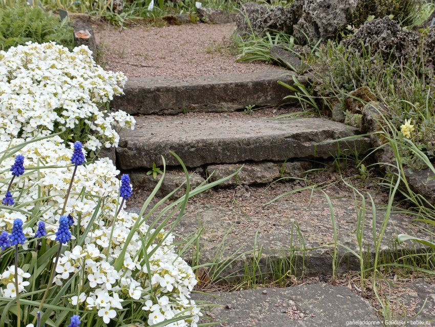 Сад часть 1 — Туризм и путешествия: фотоотчеты из поездок (фото 6)