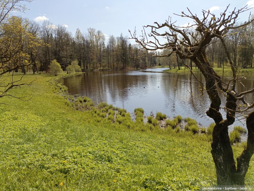 Форпост 2 Отблески Пангеи. Часть 8 Сехмет