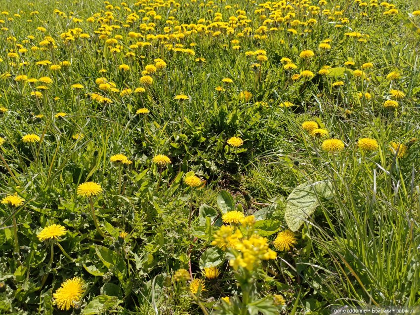 Форпост 2 Отблески Пангеи. Часть 8 Сехмет