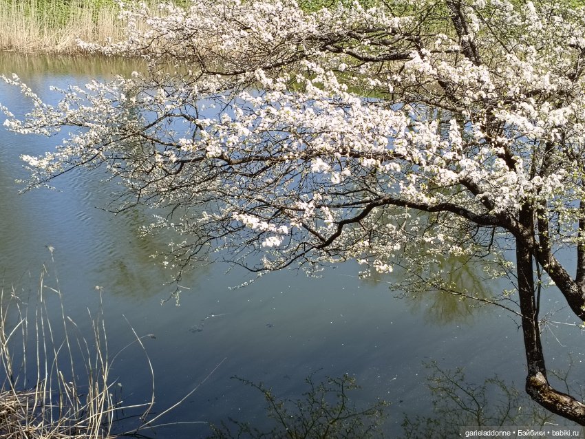 Форпост 2 Отблески Пангеи. Часть 8 Сехмет (фото 2)