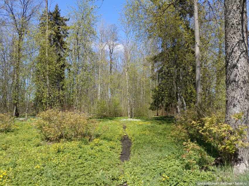 Форпост 2 Отблески Пангеи. Часть 8 Сехмет