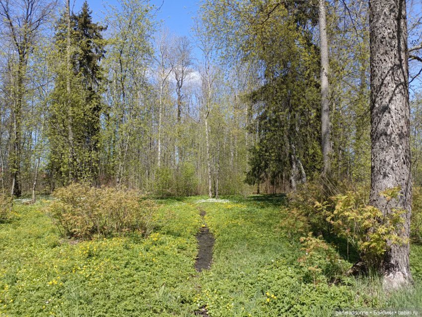 Форпост 2 Отблески Пангеи. Часть 8 Сехмет