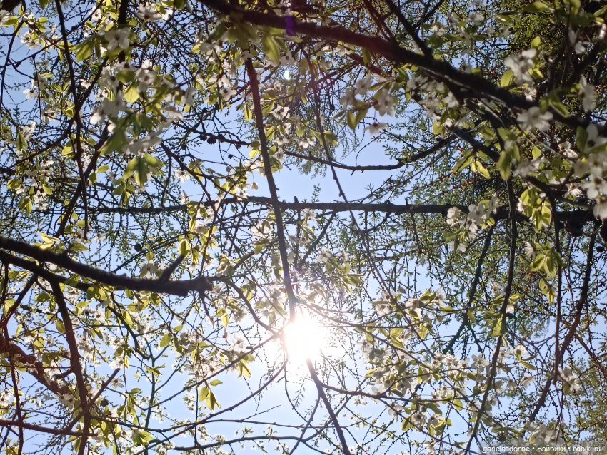 Форпост 2 Отблески Пангеи. Часть 8 Сехмет (фото 10)