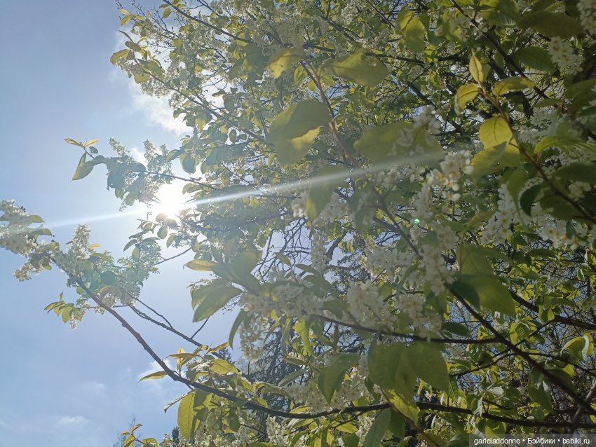 Форпост 2 Отблески Пангеи. Часть 9 Финал