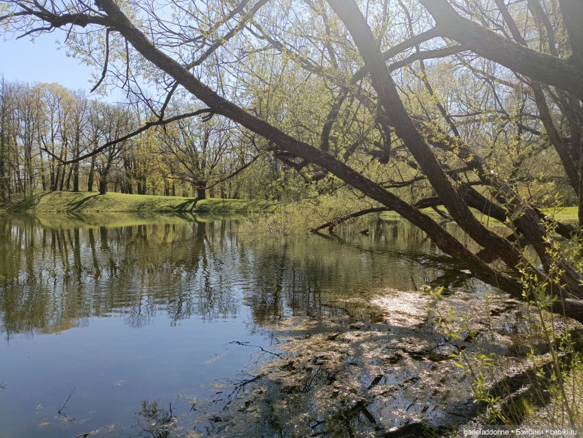 Форпост 2 Отблески Пангеи. Часть 9 Финал