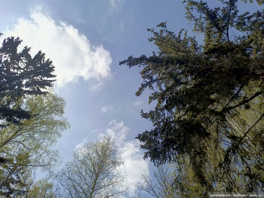 Форпост 2 Отблески Пангеи. Часть 9 Финал (фото 8)