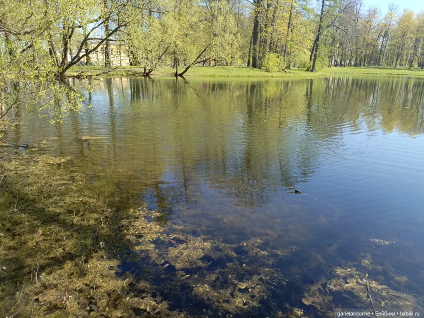 Форпост 2 Отблески Пангеи. Часть 9 Финал