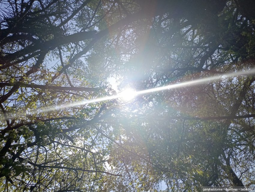 Форпост 2 Отблески Пангеи. Часть 9 Финал