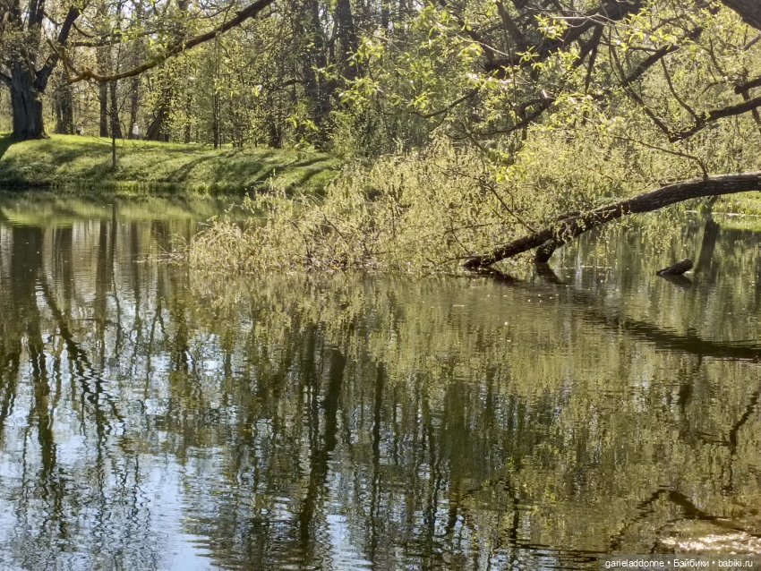 Форпост 2 Отблески Пангеи. Часть 9 Финал