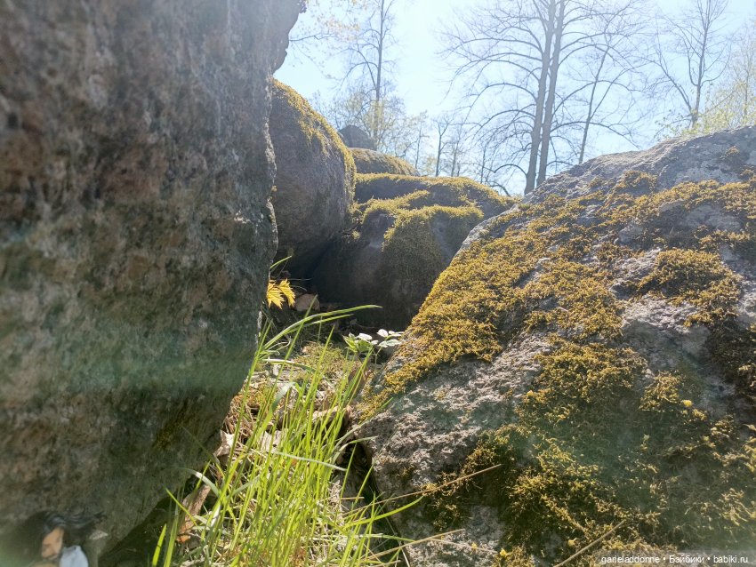 Форпост 2 Отблески Пангеи. Часть 9 Финал