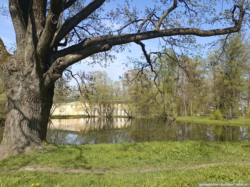 Форпост 2 Отблески Пангеи. Часть 9 Финал