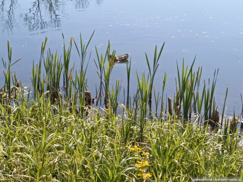 Форпост 2 Отблески Пангеи. Часть 9 Финал