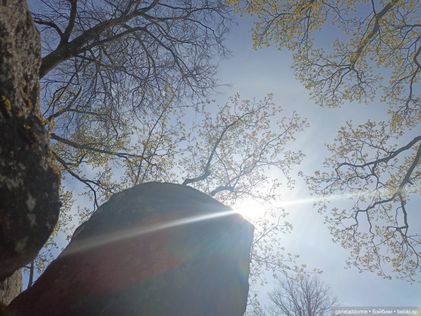 Форпост 2 Отблески Пангеи. Часть 9 Финал