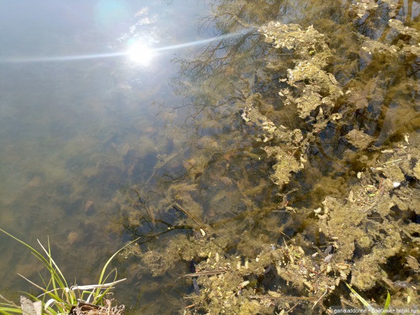 Форпост 2 Отблески Пангеи. Часть 9 Финал