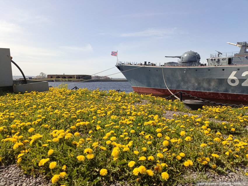 На берегу неба 1 серия — Зарисовки из кукольной жизни: фотоистории
