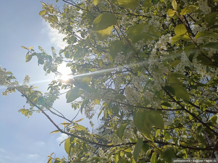 На берегу неба 1 серия — Зарисовки из кукольной жизни: фотоистории (фото 2)