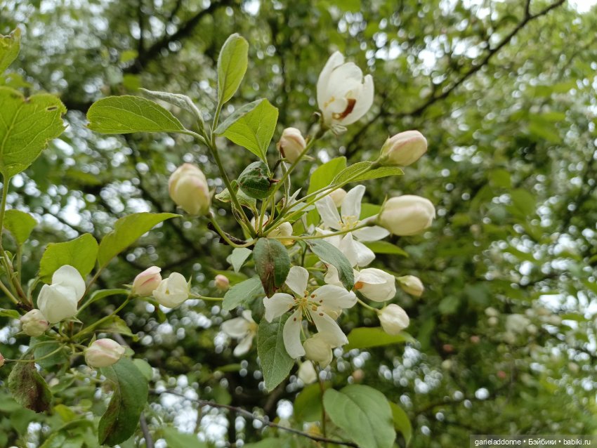 На берегу неба 2 серия — Зарисовки из кукольной жизни: фотоистории