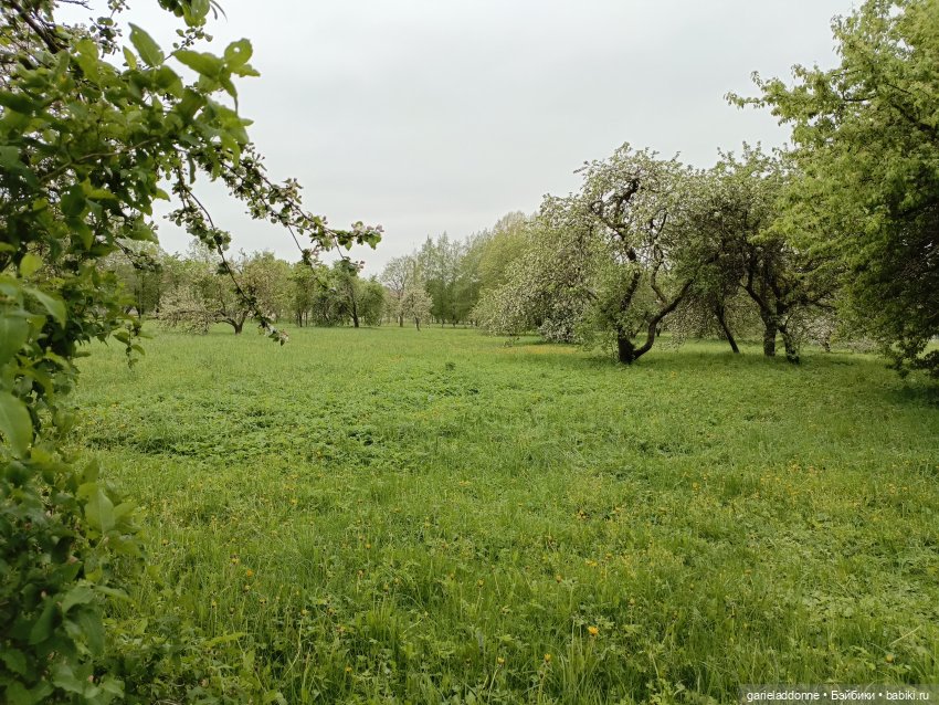 На берегу неба 2 серия — Зарисовки из кукольной жизни: фотоистории (фото 9)