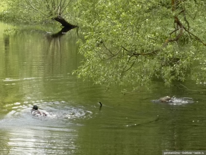 На берегу неба 2 серия — Зарисовки из кукольной жизни: фотоистории