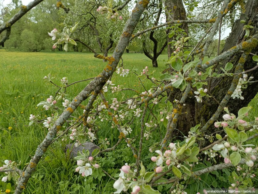 На берегу неба 2 серия — Зарисовки из кукольной жизни: фотоистории