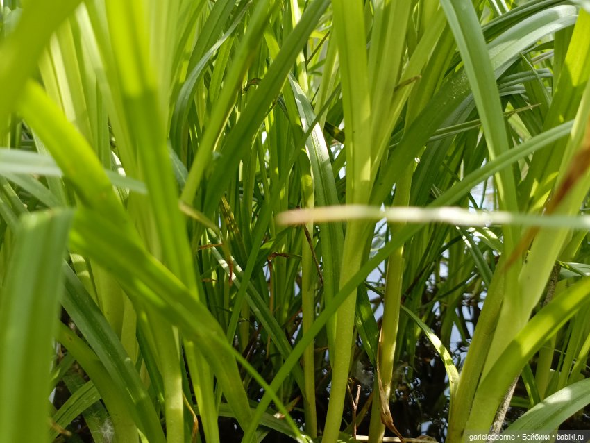 На берегу неба 2 серия — Зарисовки из кукольной жизни: фотоистории