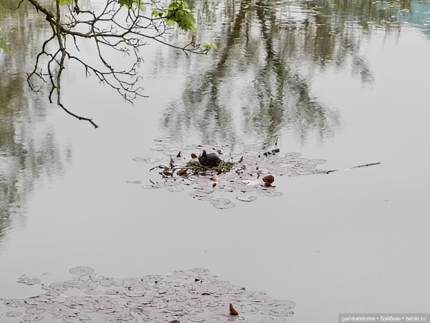 На берегу неба 2 серия — Зарисовки из кукольной жизни: фотоистории