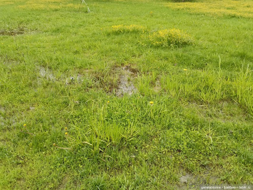 На берегу неба 2 серия — Зарисовки из кукольной жизни: фотоистории