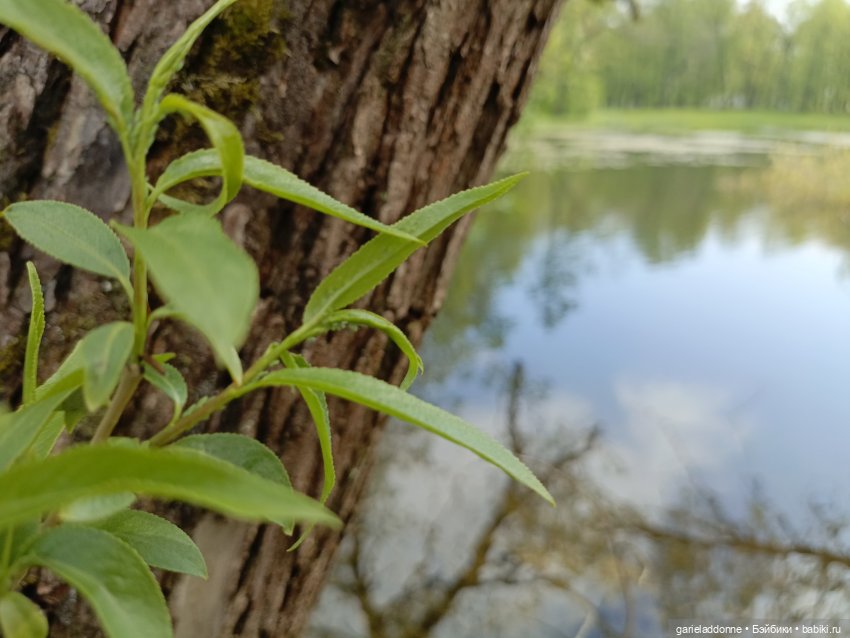 На берегу неба 2 серия — Зарисовки из кукольной жизни: фотоистории