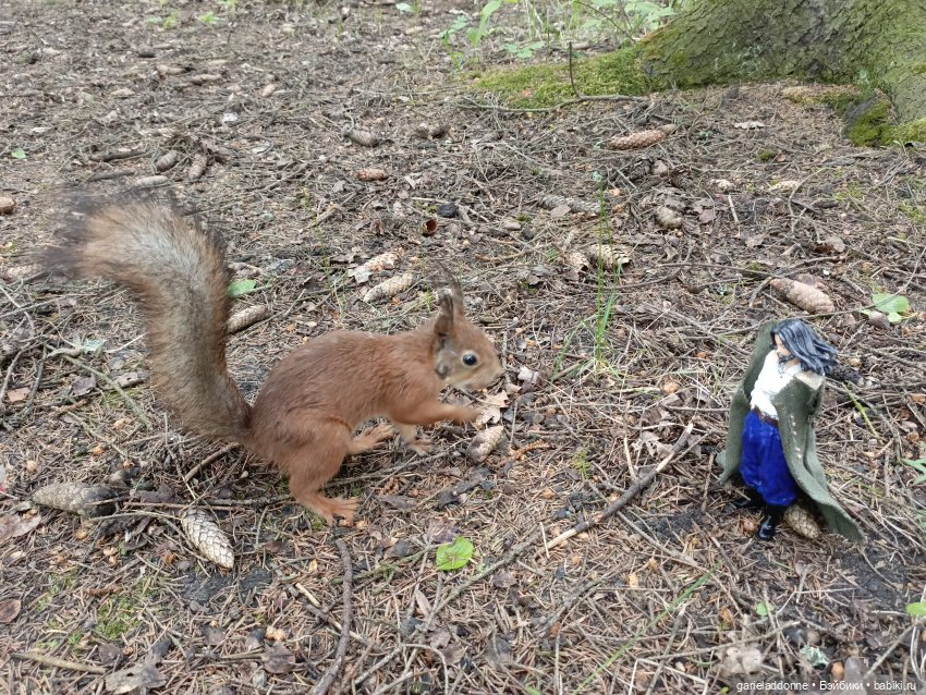 Нежданные гости — Туризм и путешествия: фотоотчеты из поездок (фото 4)