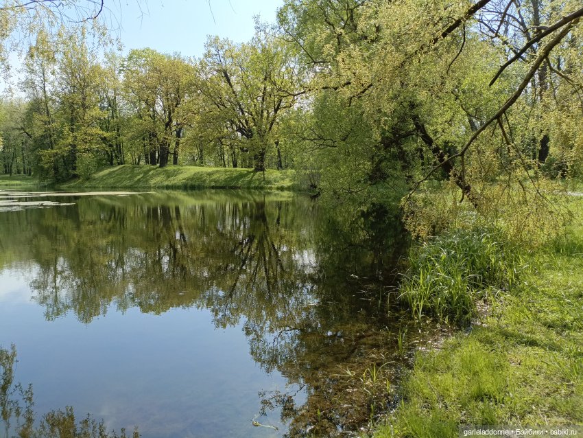 Нежданные гости — Туризм и путешествия: фотоотчеты из поездок