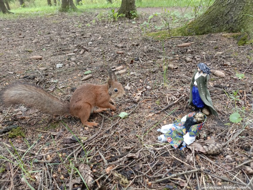 Нежданные гости — Туризм и путешествия: фотоотчеты из поездок (фото 6)