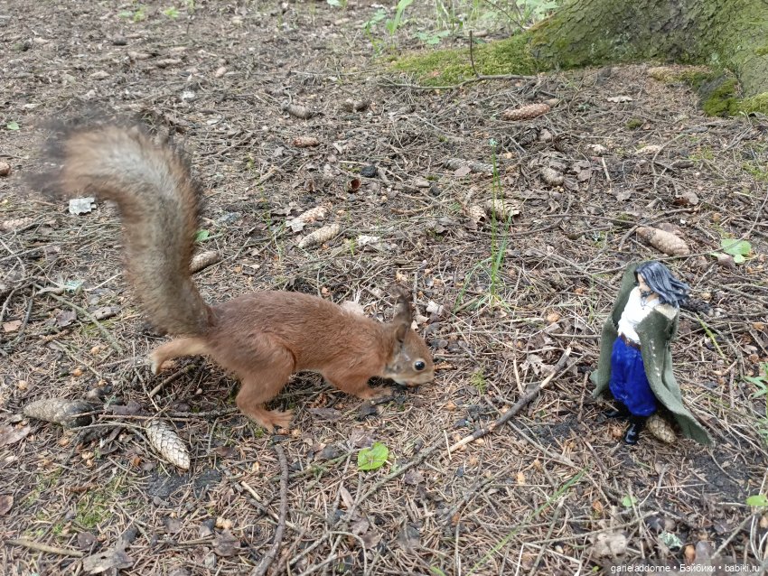 Нежданные гости — Туризм и путешествия: фотоотчеты из поездок (фото 2)