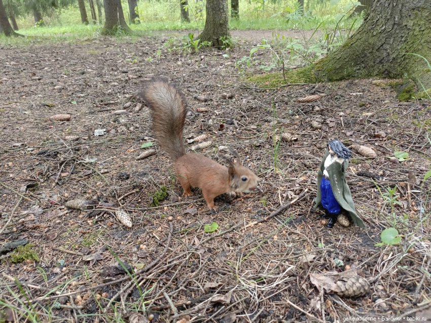 Нежданные гости — Туризм и путешествия: фотоотчеты из поездок (фото 5)