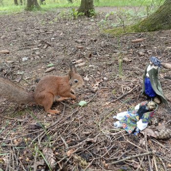 Нежданные гости