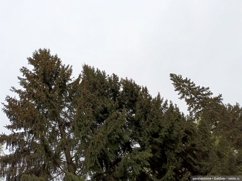 На берегу неба 3 серия — Зарисовки из кукольной жизни: фотоистории (фото 4)