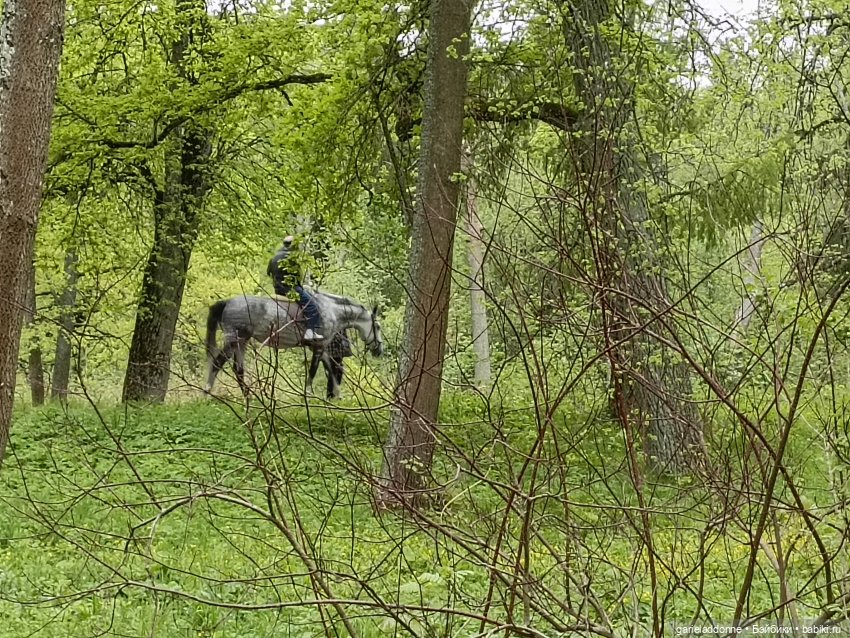 На берегу неба 3 серия — Зарисовки из кукольной жизни: фотоистории (фото 5)
