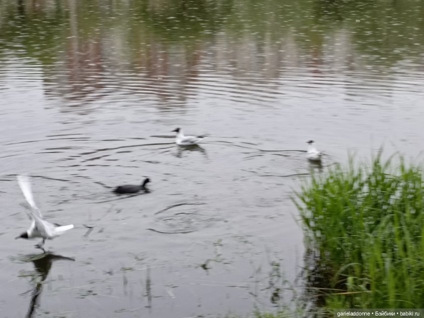 Летопись Октопуса — Туризм и путешествия: фотоотчеты из поездок (фото 8)