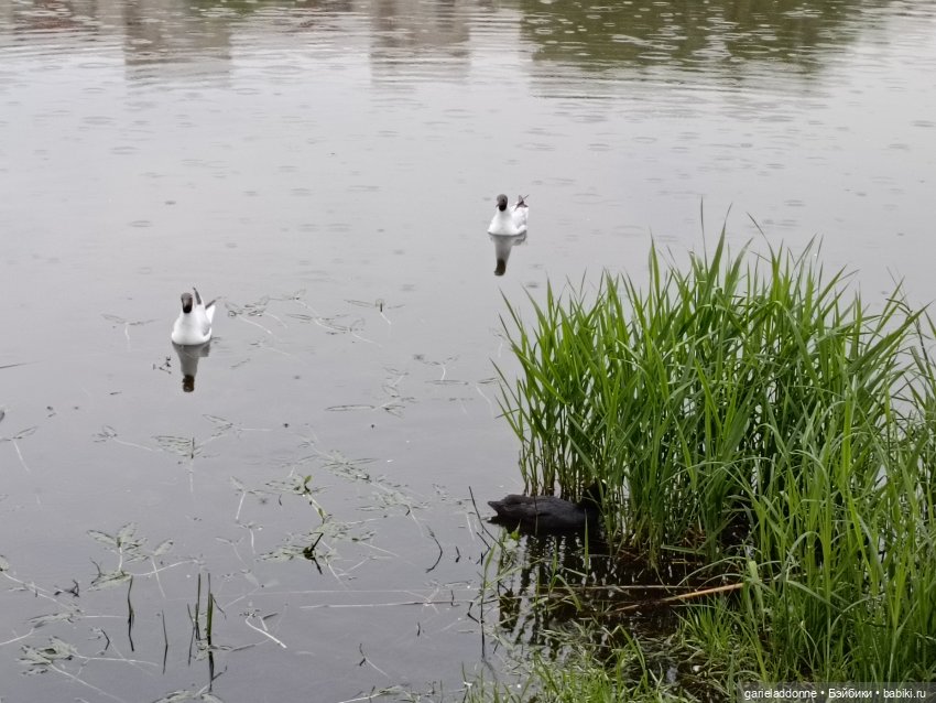 Летопись Октопуса — Туризм и путешествия: фотоотчеты из поездок (фото 9)