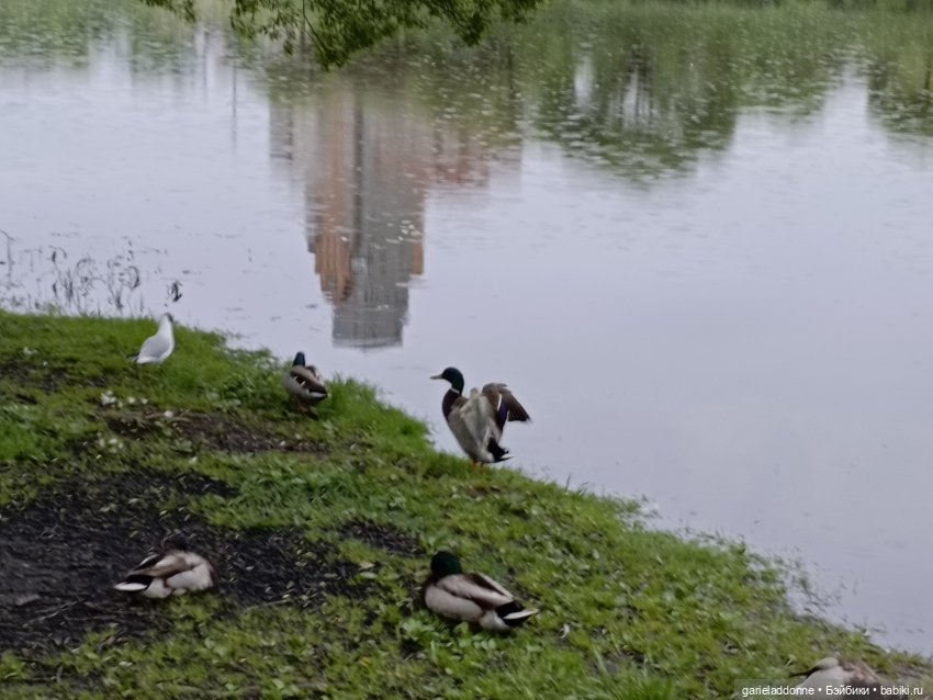 Летопись Октопуса — Туризм и путешествия: фотоотчеты из поездок